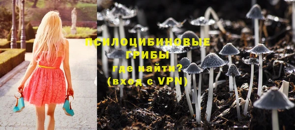 прущие крисы Краснотурьинск