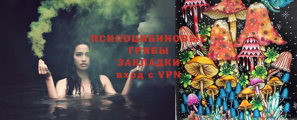 гидропоника Краснослободск